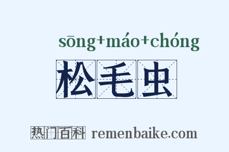 松毛虫是什么意思的图片